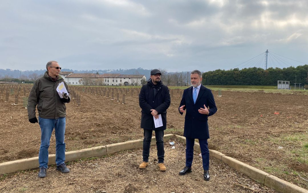Arbolia e Comune di Vicenza realizzano un bosco urbano
