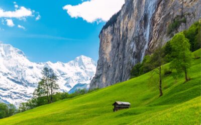 “Nature Conservation in Europe”: analisi sulla conservazione della natura in Europa